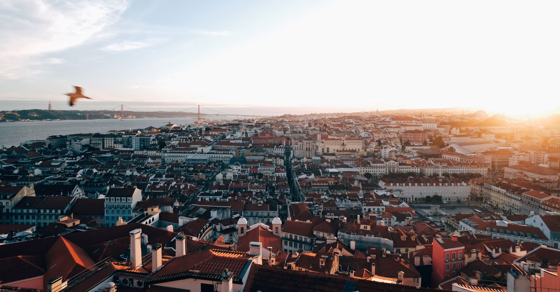 An aerial view of Lisbon at sunset with birds flying overhead.